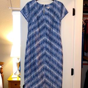 Blue and White Dress